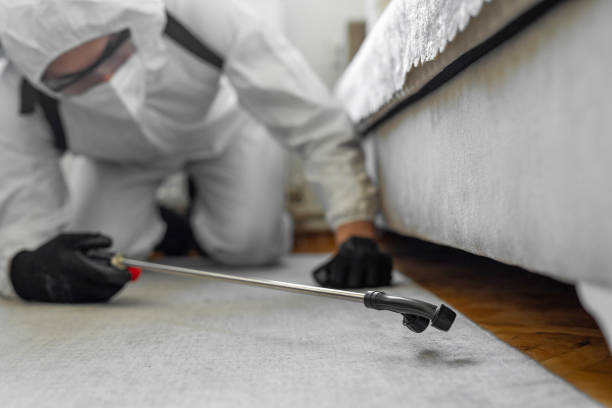 Professional Bed Bug Control technician working in University Place, WA