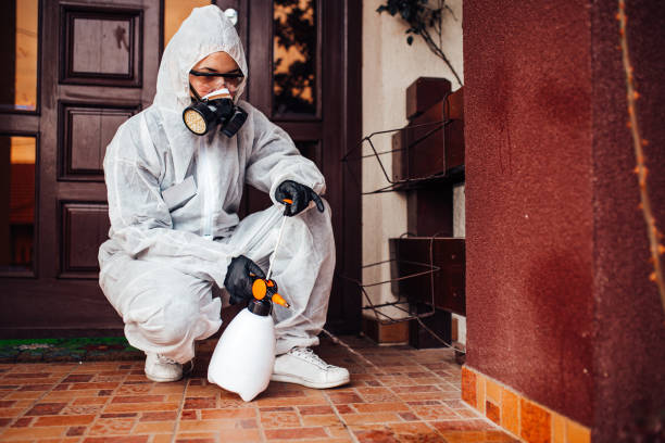 Reliable Bed Bug Control contractor in University Place, WA by Nex Pest Control