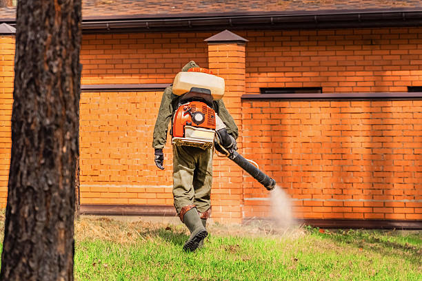 Trusted Bed Bug Control service in University Place, WA - Nex Pest Control